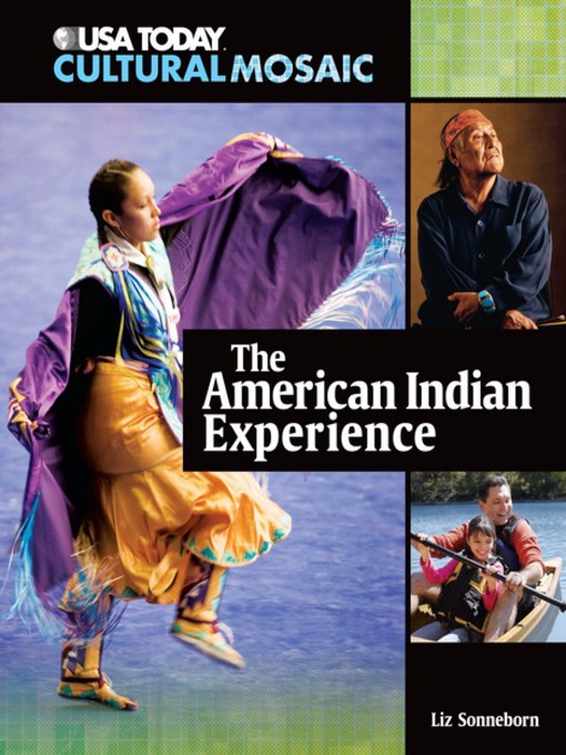 Cover image for The American Indian Experience